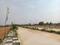 Century Nature City Internal Roads 2