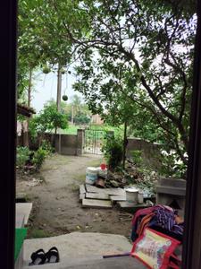 Balcony Image of 1800 Sq.ft 1 RK Independent House for sale in Khardaha Kolkata for Rs. 2300000