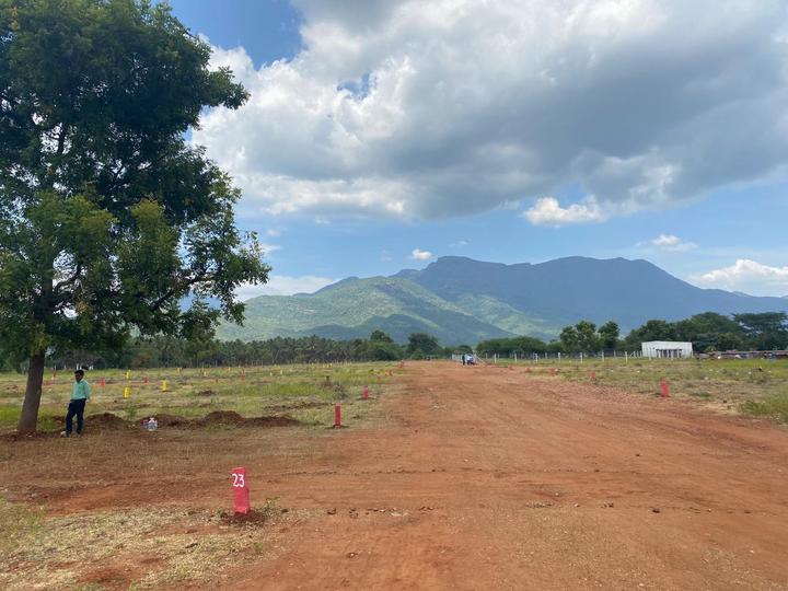 Residential 1200 Sqft Plot for sale at Vadipatti, Madurai Property ID