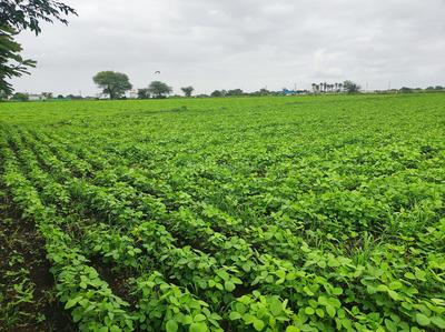 Image of 82500 Sq.ft Residential Plot / Land for sale in Mhow, Indore for Rs. 90200000