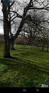 Image of 15000 Sq.ft Residential Plot / Land for sale in Saidpura, Srinagar for Rs. 40000000