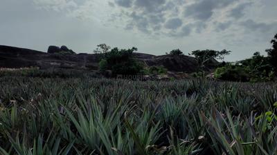 Image of 48563 Sq.ft Residential Plot / Land for sale in Mathicode, Kanyakumari for Rs. 180000000