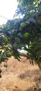 Image of 5989 Sq.ft Residential Plot / Land for sale in Ramanagara, Bengaluru for Rs. 7181431