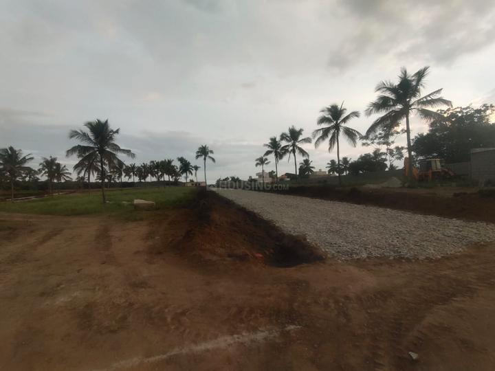 Nettigere Main Image 1