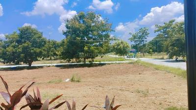 Rathis Nandavanam Plot View 3