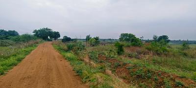 Image of 43560 Sq.ft Residential Plot / Land for sale in Medigadda, Ranga Reddy for Rs. 9000000