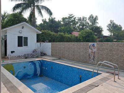 Swimming Pool Image of 1500 Sq.ft 2 BHK Villa for sale in Dkrrish Green Beauty Farms, Sector 135 Noida for Rs. 9000000