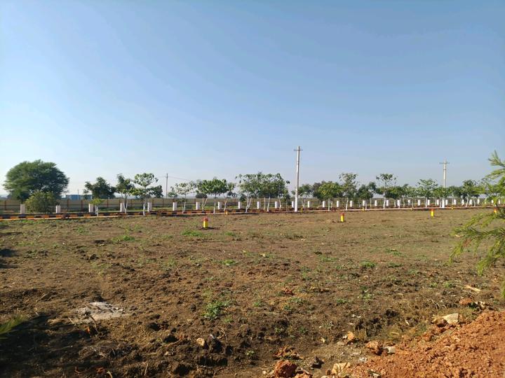 Alekhya NSR County Phase I Main Image 1