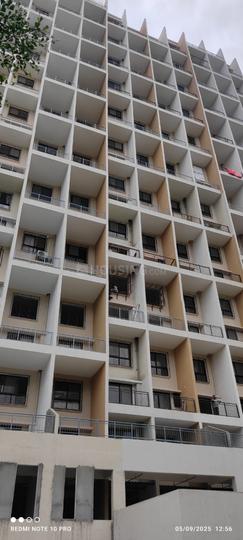 Amit Astonia Royale Main Image 1