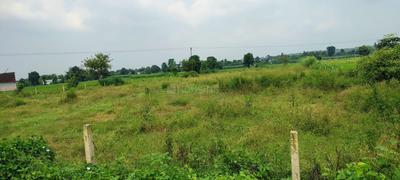 Image of 48600 Sq.ft Residential Plot / Land for sale in Chharba, Dehradun for Rs. 33100000