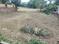 Gandarpur Plot View 2