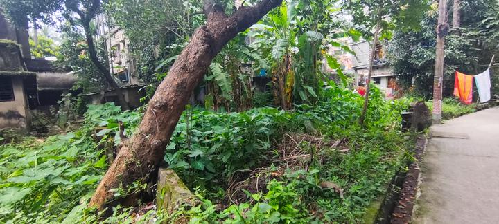 Gopalpur Gram, Rajarhat Main Image 1