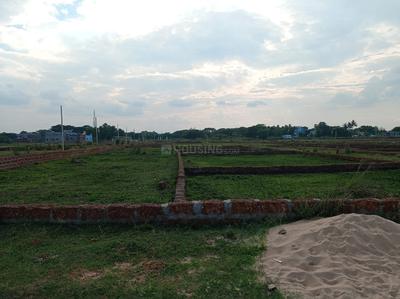 Patia Plot View 2