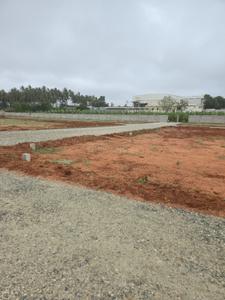 Residential Plot