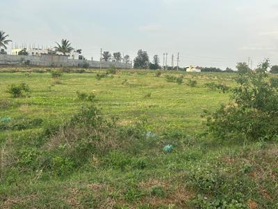 Devanahalli Plot View 2