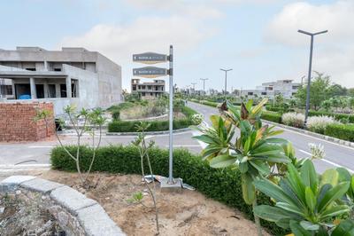 Phagi Plot View 2