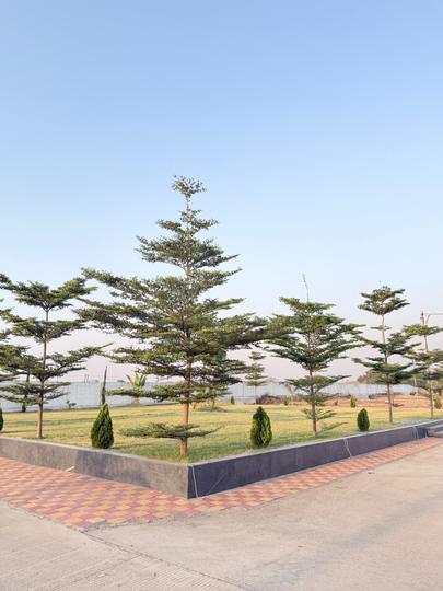 Himadri Ras Garden Main Image 1