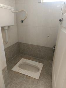 Common Bathroom Image of 650 Sq.ft 1 BHK Apartment / Flat for rent in Heera Pearl, Fursungi Pune for Rs. 18000