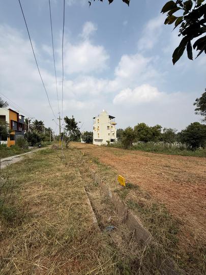 SLN Palm Grove Main Image 1