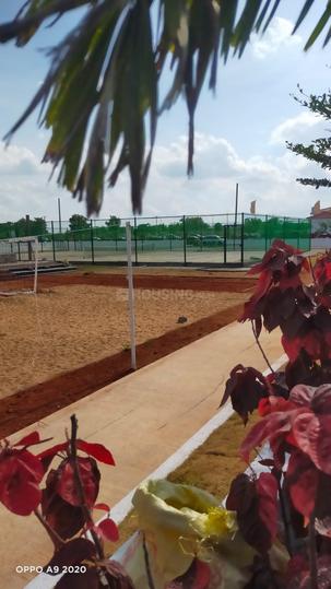 Iconia By Primeland Main Image 1