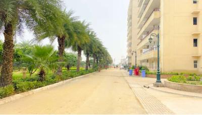 Image of 1510 Sq.ft 3 BHK Apartment / Flat for sale in MR Delhi 99, Bhopura, Ghaziabad for Rs. 11000000