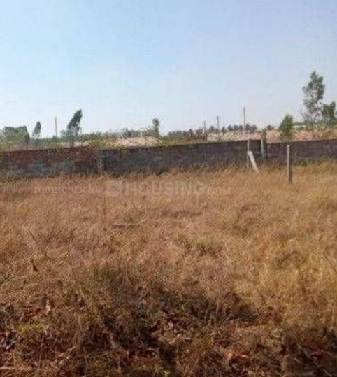 Divine Chavaragram Main Image 1