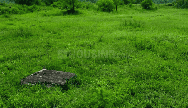 Sundarpada Main Image 1