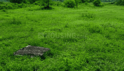 Sundarpada Plot View 1