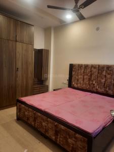 Bedroom Image of 820 Sq.ft 2 BHK Apartment / Flat for rent in AGI Sky Garden, Shakti Nagar Jalandhar for Rs. 22000