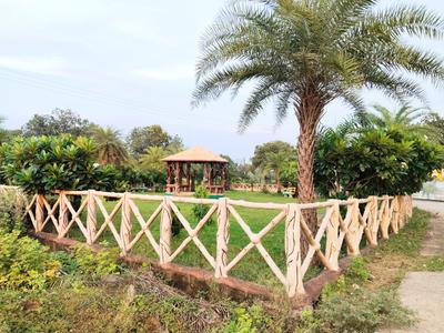 Residential Plot