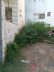 Block C Plot View 1