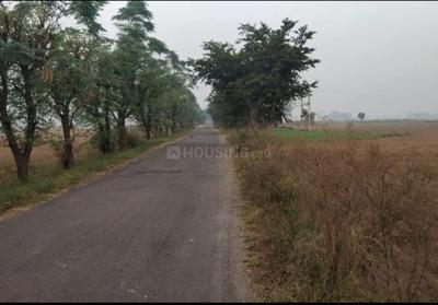 Haappy Home Mind Game Plot View 2