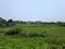 Sonargaon 2 plot project Main Image 1