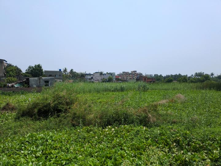 Sonargaon 2 plot project Main Image 1