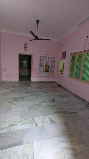 Rajapalayam Main Image 1