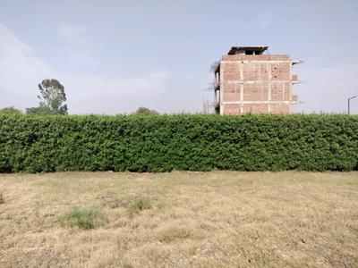 Mansha Oaks Plot View 2