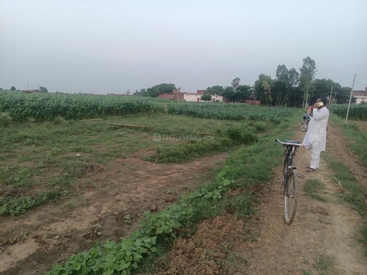 Korrha Nobarar Main Image 1