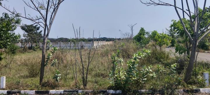 Vandalur Main Image 1