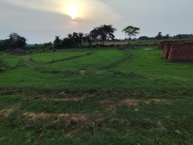 Residential Plot