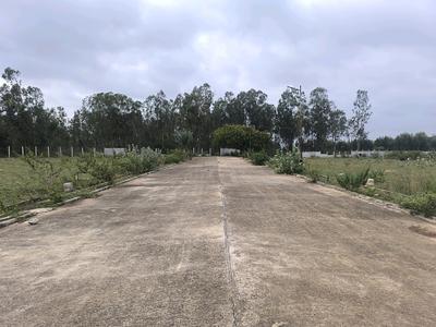 Image of 1350 Sq.ft Residential Plot / Land for sale in Hoskote, Bengaluru for Rs. 3847000