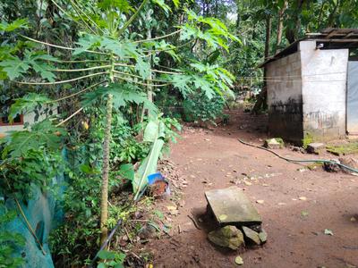 Image of 1500 Sq.ft 1 BHK Independent House for sale in Arangamugal, Thiruvananthapuram for Rs. 6600000