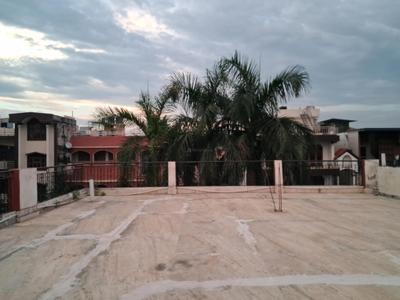 Terrace Image of 500 Sq.ft 1 BHK Builder Floor for rent in Sector 55 Noida for Rs. 20000