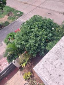 Image of 2600 Sq.ft 3 BHK Villa for sale in Rampally, Secunderabad for Rs. 15500000