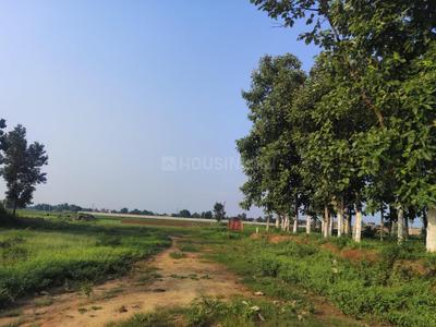 Image of 1200 Sq.ft Residential Plot / Land for sale in Mustafapur, Patna for Rs. 1650000
