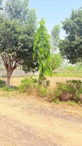 Image of 450 Sq.ft Residential Plot / Land for sale in Chhata, Mathura for Rs. 750000
