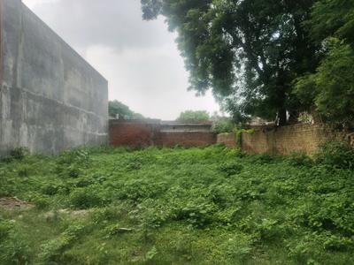 Block D Plot View 1
