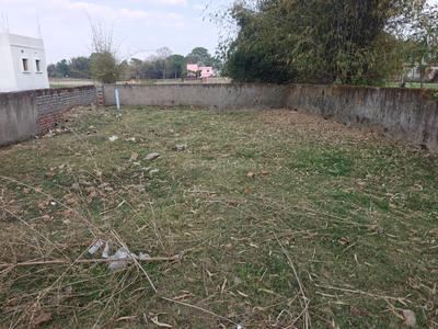 Tetartoli Plot View 2