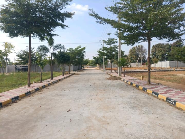 Golden City Main Image 1