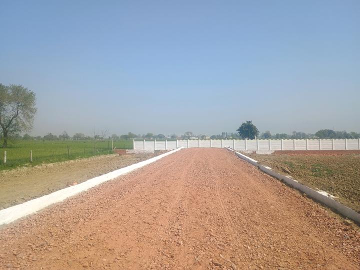 Golden City Main Image 1