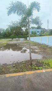 Paud Plot View 1